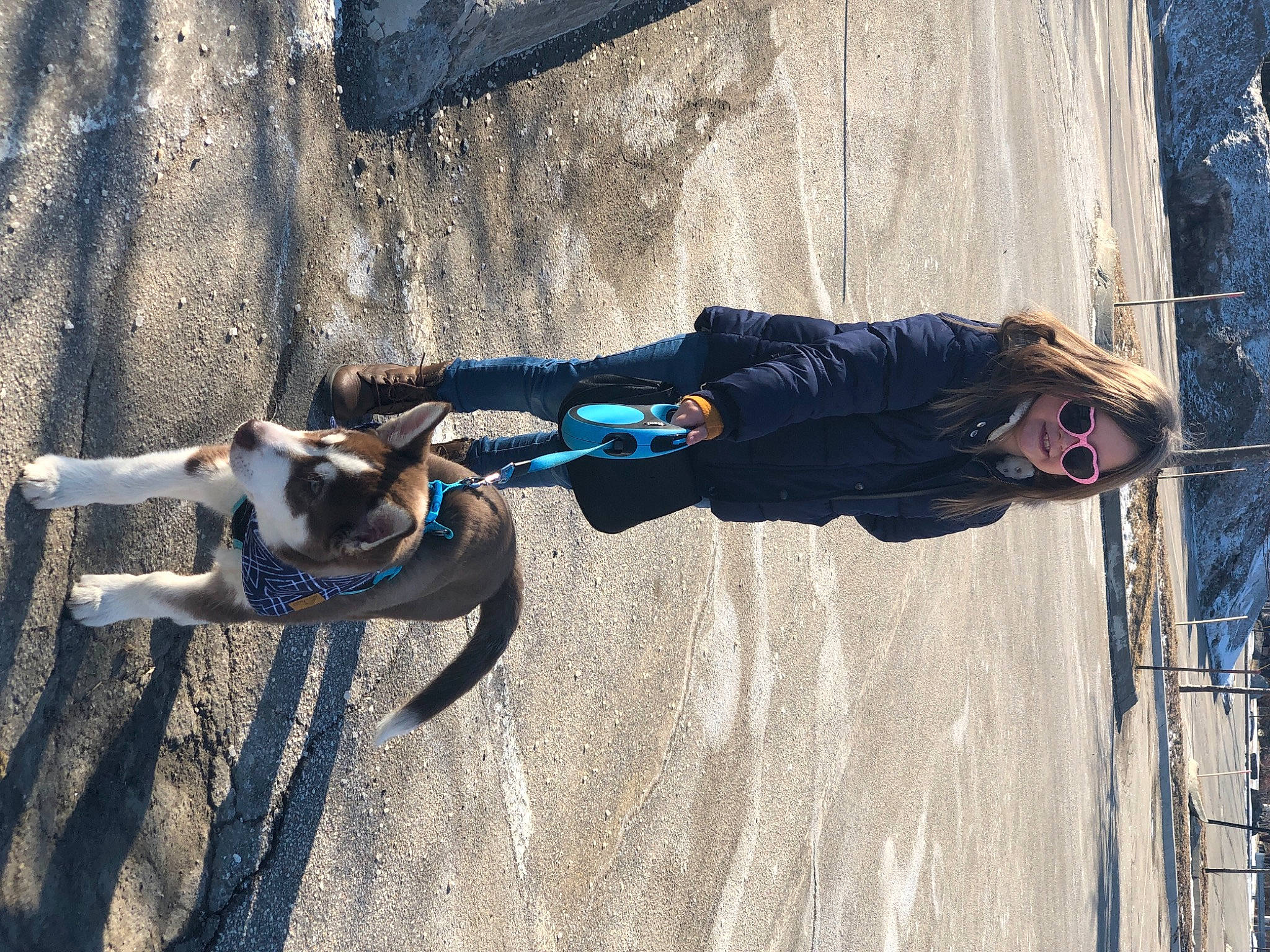 Lilyana joined the competition — help win amazing prizes! adventure, canidae, fawn, joy, person, sporting_group, tree