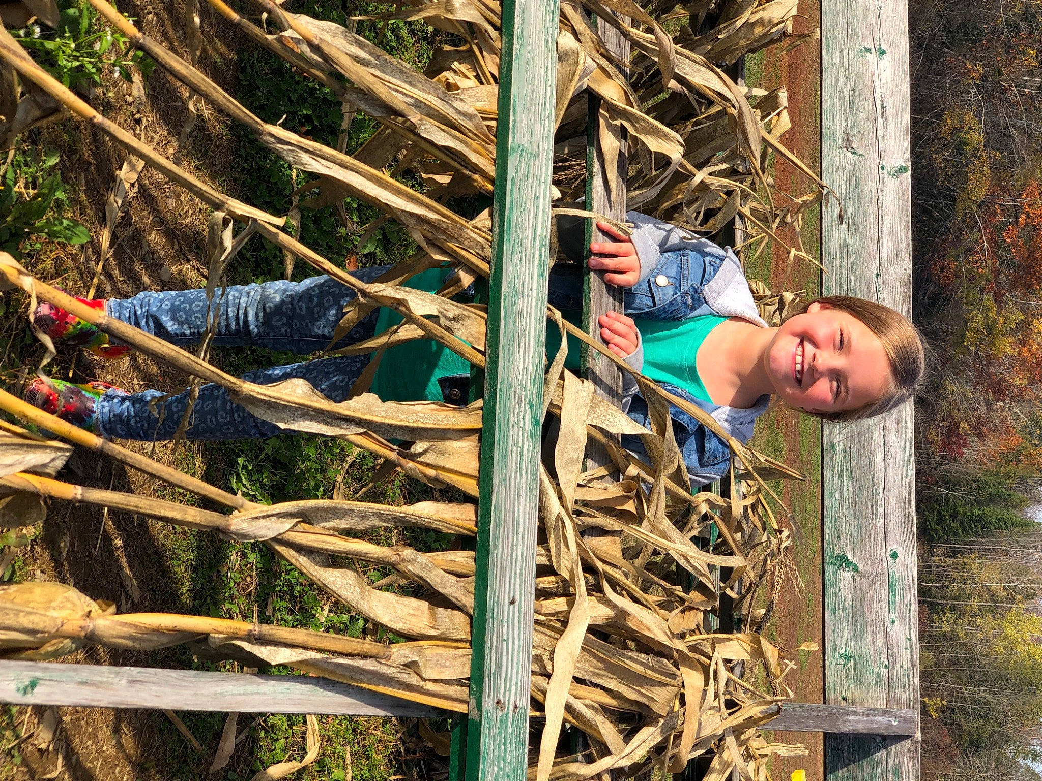 Lilyana joined the competition — help win amazing prizes! joy, person, plant, tree, wood