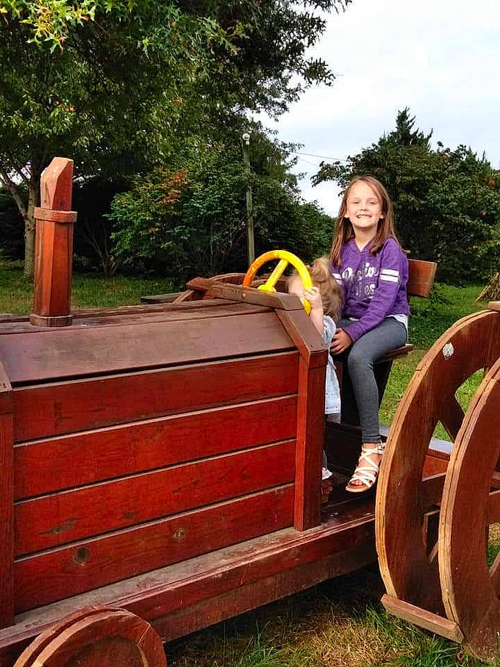 Jillian joined the competition — help win amazing prizes! fence, furniture, joy, lumber, person, plant, wheel, wood