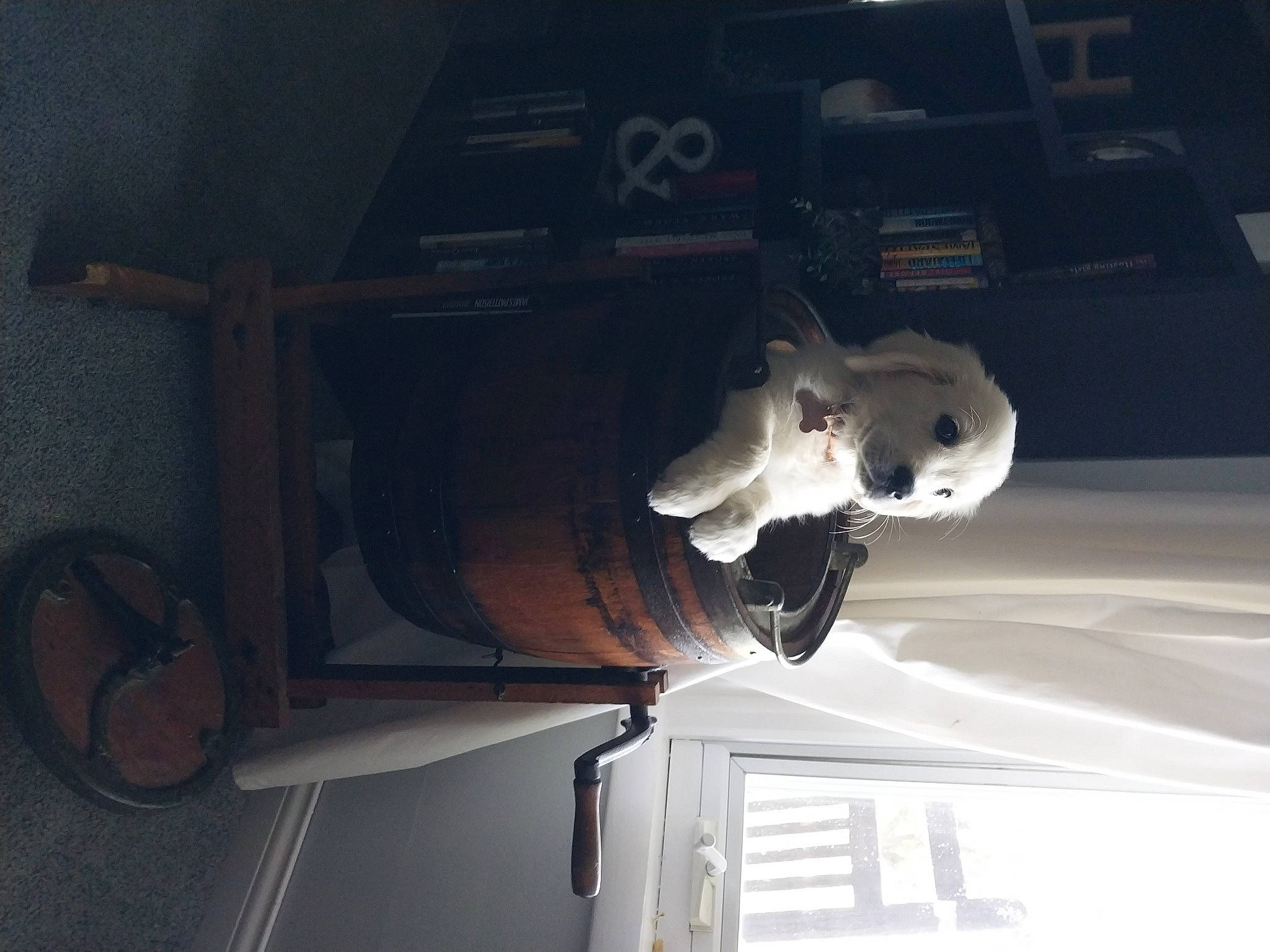 Pickles is registered to the contest to win money with this photo: art, auto_part, automotive_design, automotive_exterior, automotive_lighting, automotive_tire, bumper, ceiling, hood, luxury_vehicle, machine, room, sculpture, sky, tints_and_shades, vehicle, vehicle_door, visual_arts, wood