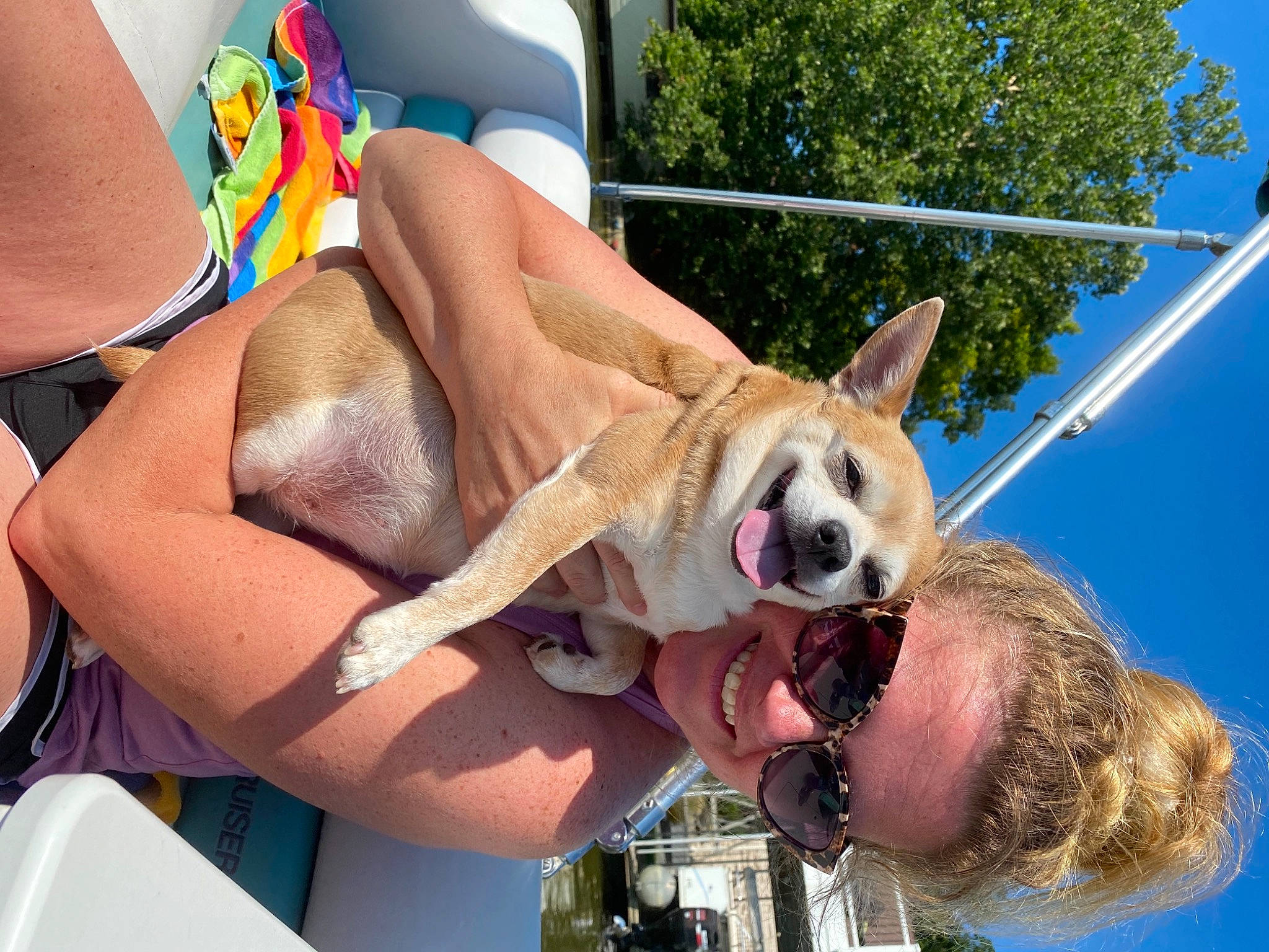 Lilly joined the competition — help win amazing prizes! brassiere, carnivore, companion_dog, dog, dog_breed, eyewear, fawn, fun, happy, human_leg, knee, leisure, muscle, sky, snout, summer, swimsuit_bottom, swimwear, thigh, underpants