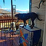 Artemis is registered to the contest to win money with this photo: backyard, banner, blanket, budweiser, chair, cooler, curious, decorative_lizard, dog, fence, metal_chair, mountains, outdoor, pet, plant, porch, sky, sunny, wind_chime, wooden_floor