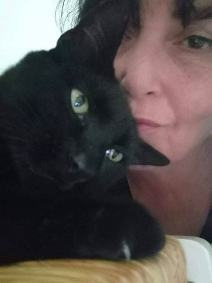 Pitchoune participe au concours pour gagner de l'argent avec cette photo : black_hair, carnivore, cat, comfort, ear, eyelash, facial_expression, felidae, fur, gesture, happy, iris, jaw, mammal, neck, nose, small_to_medium_sized_cats, snout, vertebrate, whiskers