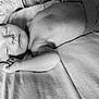 Lyam a rejoint le concours — aidez-le/la à gagner de superbes lots ! baby, sleeping, infant, blanket, soft, peaceful, monochrome, black_and_white, closeup, portrait, skin, newborn, resting, toddler, child, bed, candid, relaxation, cute, young