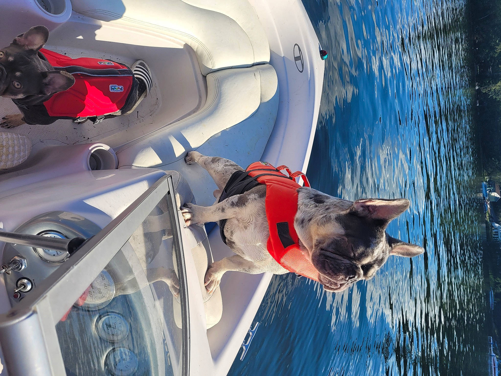 Lowkey is registered to the contest to win money with this photo: auto_part, automotive_design, automotive_exterior, automotive_lighting, automotive_tire, boat, boats_and_boating_equipment_and_supplies, hat, lake, leisure, lifejacket, light, motor_vehicle, naval_architecture, personal_protective_equipment, recreation, vehicle, vehicle_door, water, watercraft