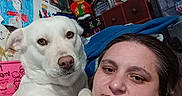 Helicopter joined the competition — help win amazing prizes! dog, person, indoor, selfie, white_dog, medals, drawings, wall_art, portrait, paw, furniture, decorations, cabinet, colorful, face, casual, expression, human, pet, closeup
