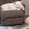 dog, white_dog, stuffed_toy, pink_toy, recliner, brown_furniture, floor, wooden_floor, indoor, pet, resting, cuddling, companion, animal, home, relaxation, cozy, cute, sleeping, quiet