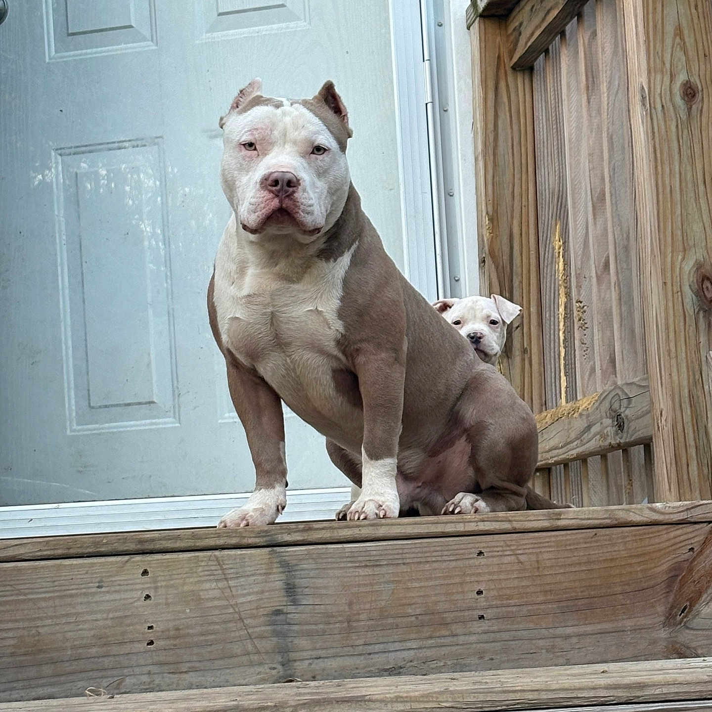 Jax