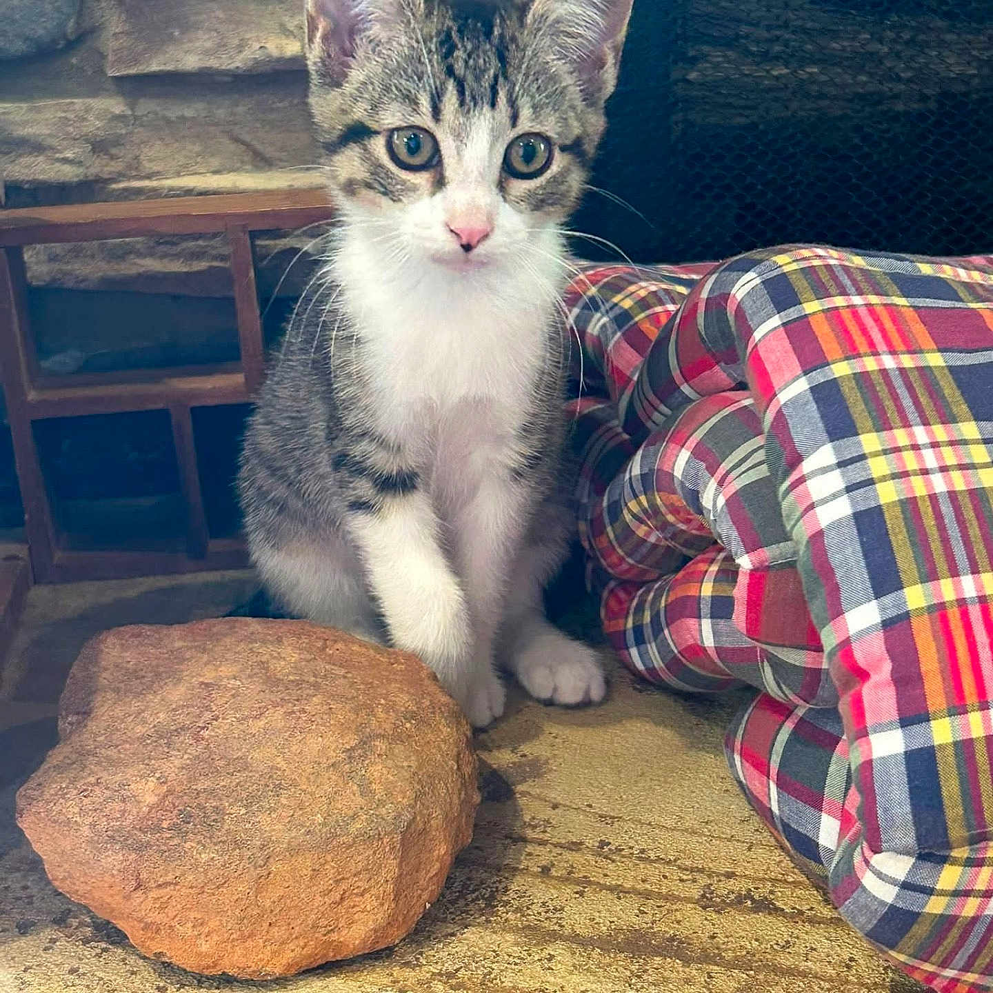 Skye