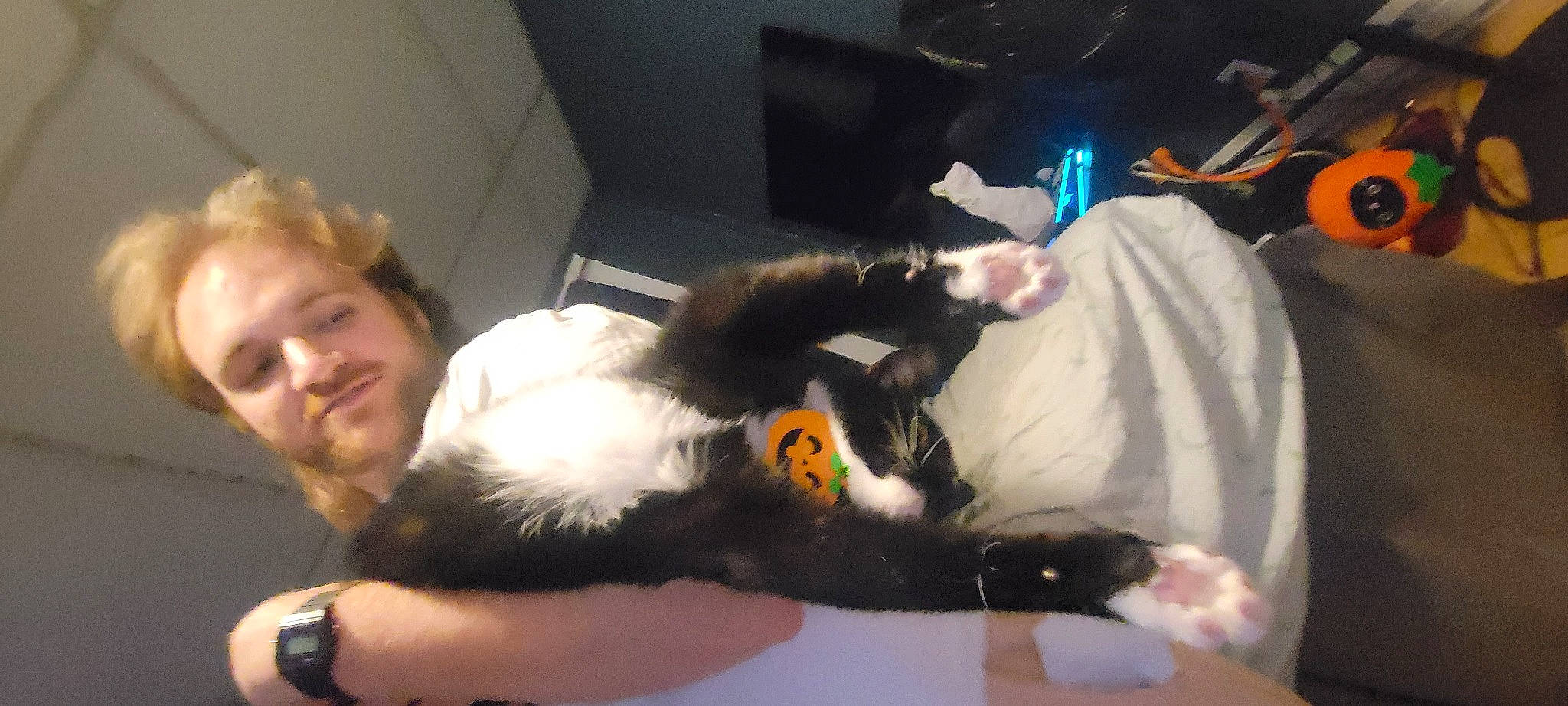 Mu is registered to the contest to win money with this photo: beard, canidae, carnivore, claw, comfort, companion_dog, dog_breed, elbow, felidae, fun, fur, lap, small_to_medium_sized_cats, smile, sporting_group, tail, toy, watch, whiskers, wrist