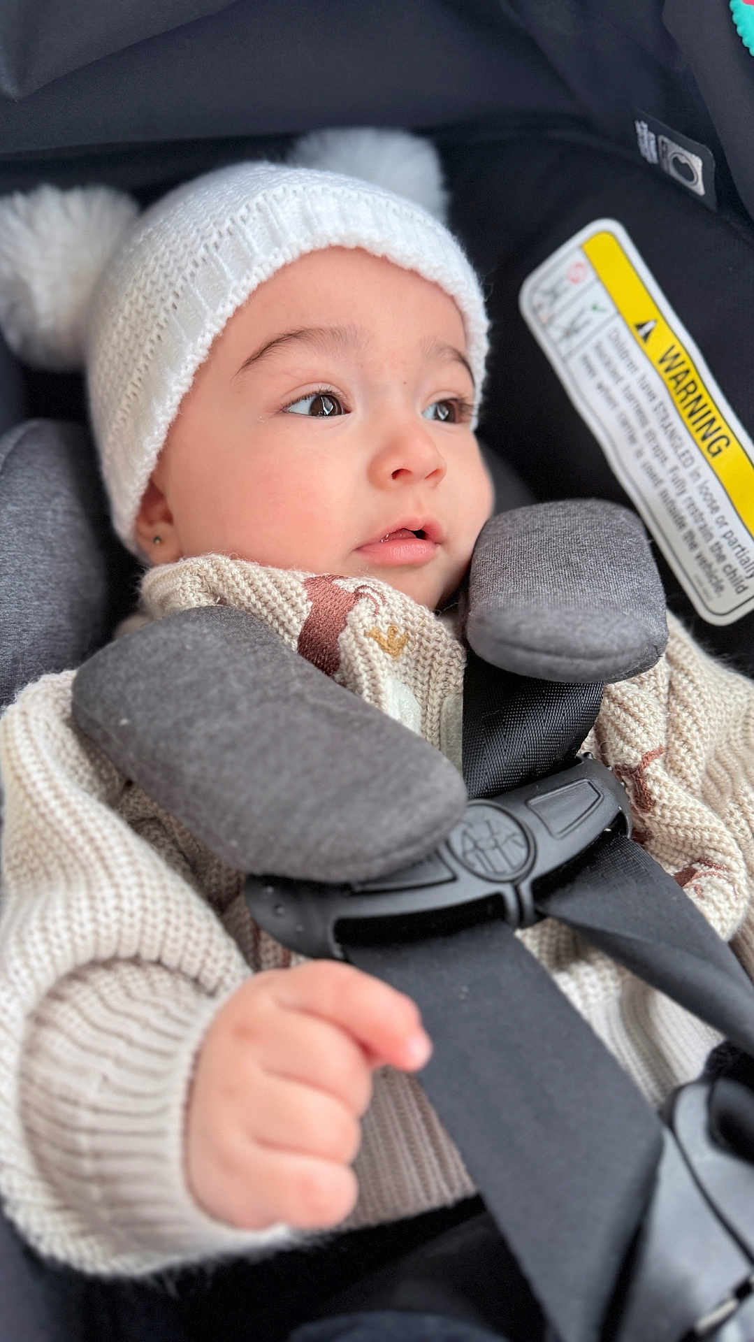 Antonella is registered to the contest to win money with this photo: baby, infant, car_seat, hat, knit_hat, pom_pom, sweater, harness, buckle, hand, face, eyes, eyelashes, closeup, looking_away, adorable, winter_clothing, padding, warning_label, cozy