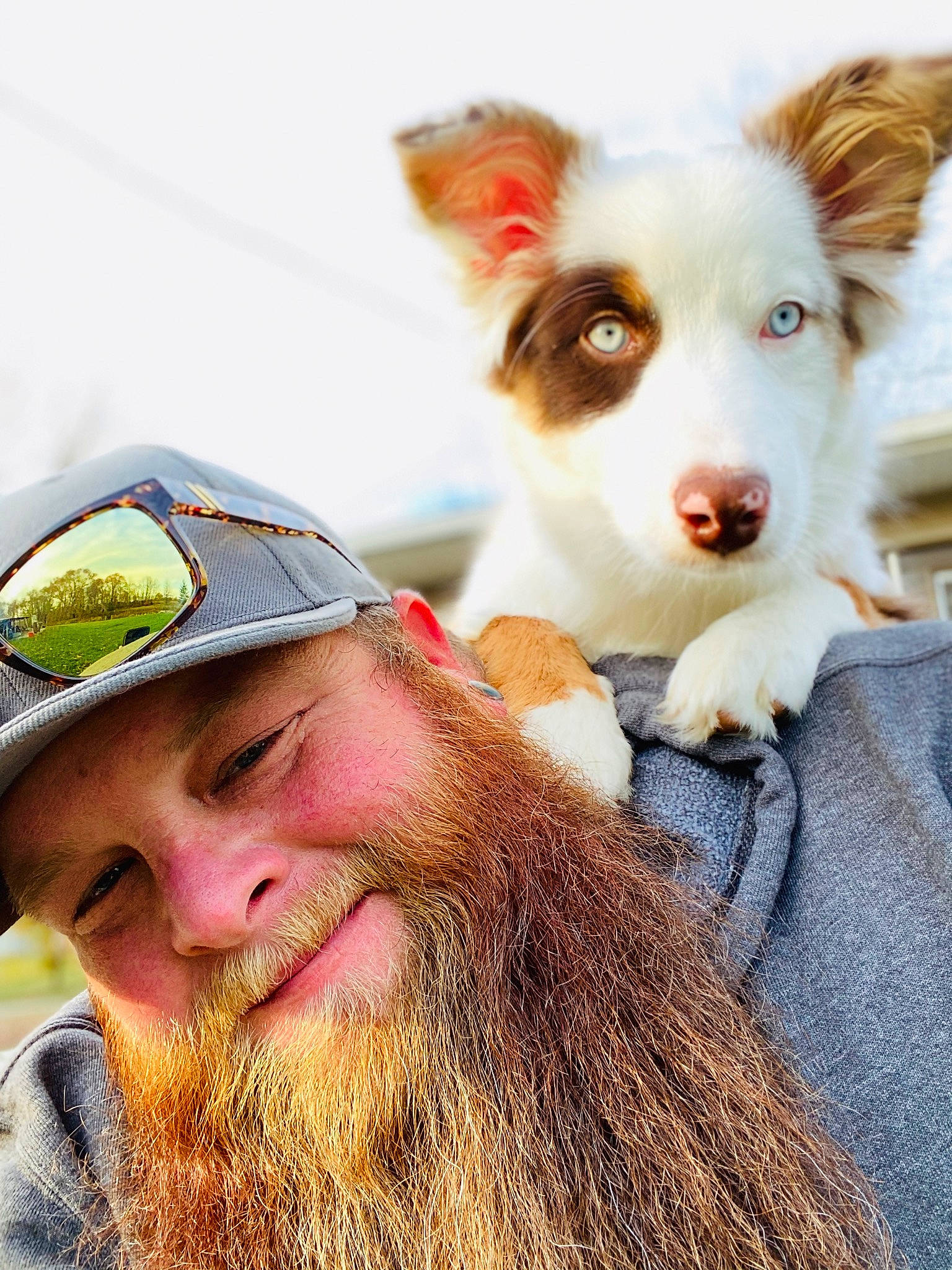 Meeka is registered to the contest to win money with this photo: beard, canidae, carnivore, companion_dog, dog, dog_breed, facial_hair, fur, goggles, moustache, organ, selfie, sporting_group, working_animal, working_dog, wrinkle