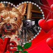 Lugan a rejoint le concours — aidez-le/la à gagner de superbes lots !