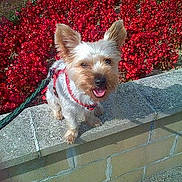 Nicky a rejoint le concours — aidez-le/la à gagner de superbes lots !