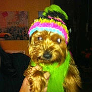 Chanelle participe au concours pour gagner de l'argent avec cette photo :