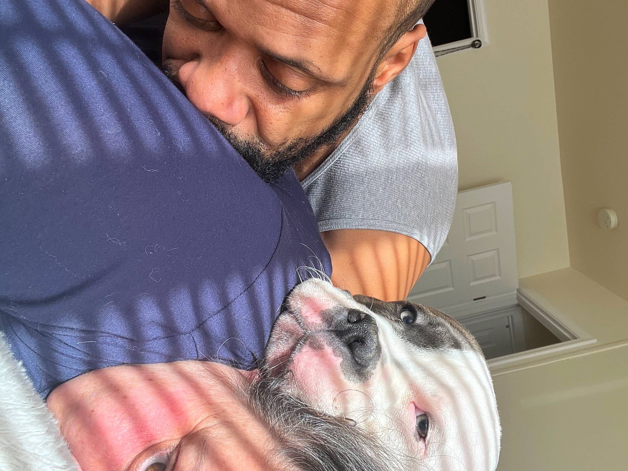 Gucci joined the competition — help win amazing prizes! bathing, beard, bulldog, carnivore, comfort, companion_dog, dog, dog_breed, ear, facial_hair, fawn, fur, jaw, mammal, mouth, snout, sporting_group, toy_dog, whiskers, wrinkle