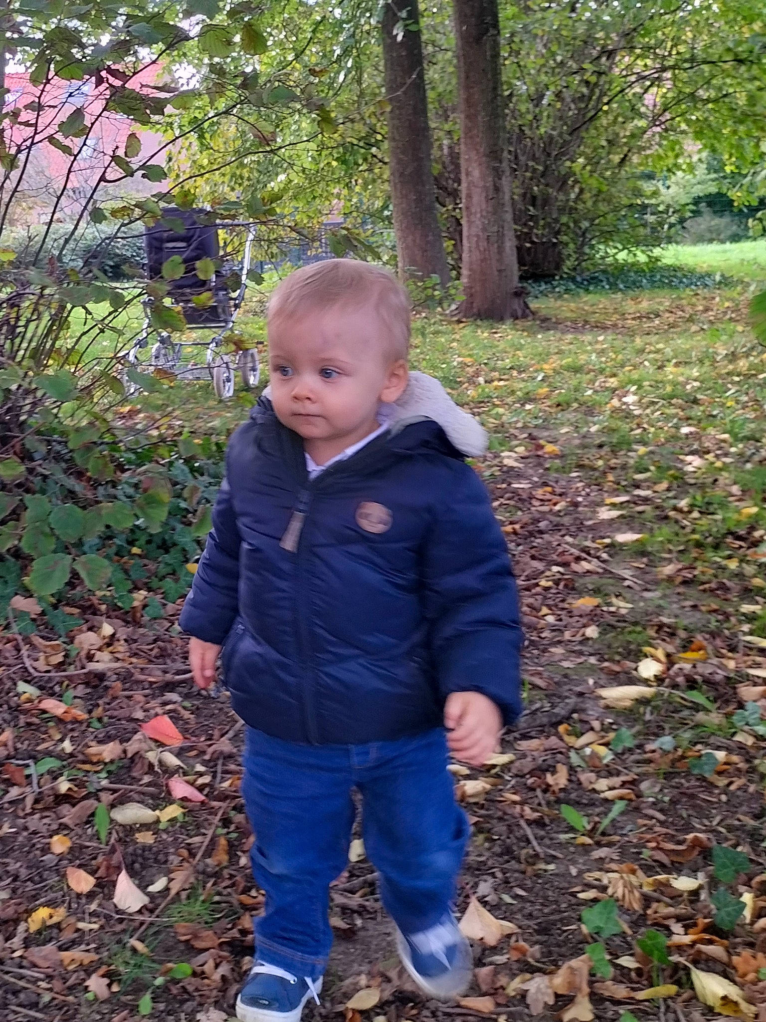 Mylo a rejoint le concours — aidez-le/la à gagner de superbes lots ! autumn, baby, baby_toddler_clothing, child, deciduous, forest, grass, green, leaf, natural_environment, natural_landscape, people_in_nature, person, plant, sleeve, soil, toddler, tree, walking, wood