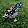 child, children, stroller, grass, outdoor, play, baby, toddler, smile, happy, barefoot, clothing, seat, wheel, toy, nature, family, summer, yard, fun