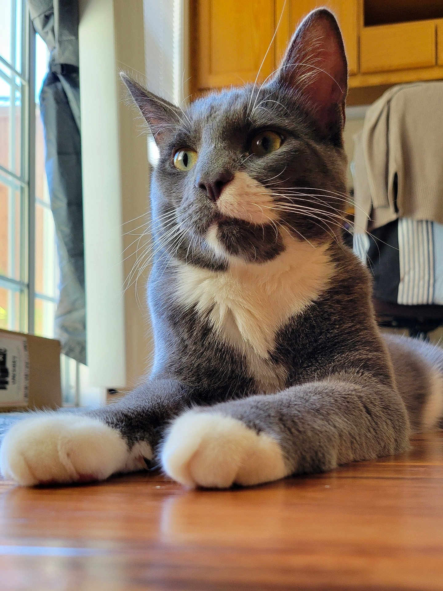 Lando