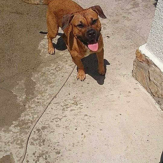 Ayka