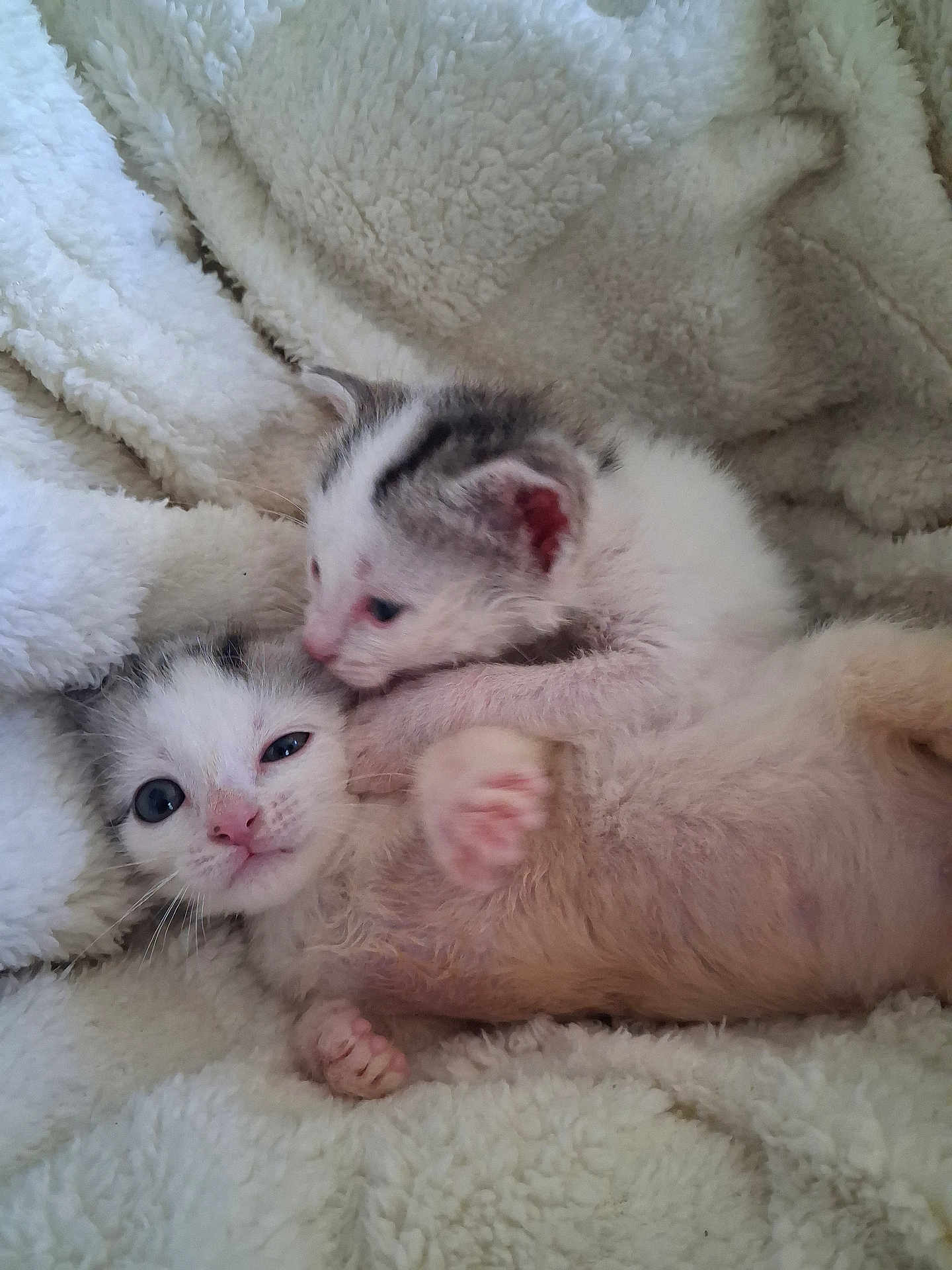 Arthur Et Anais