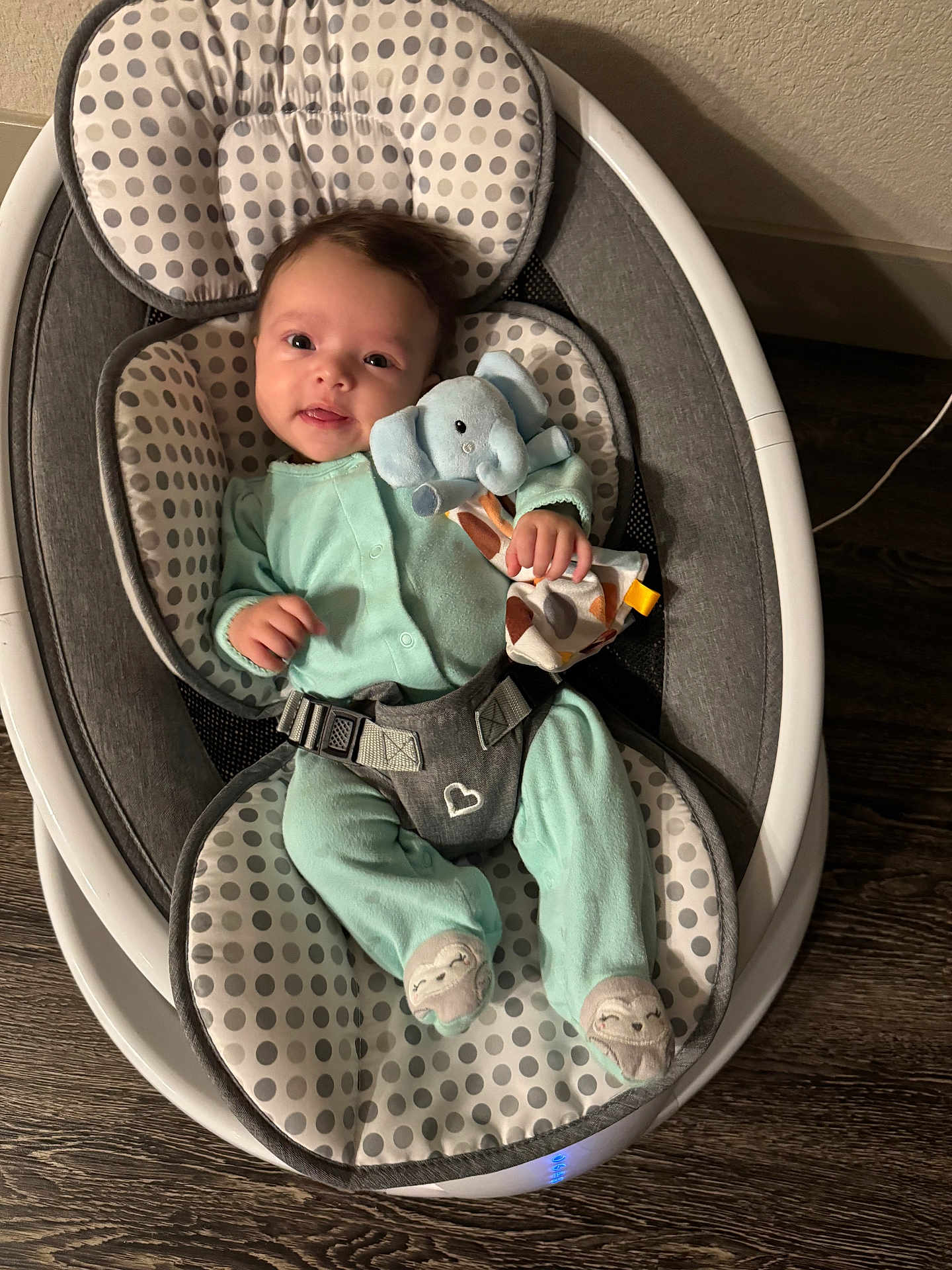 Zoe is registered to the contest to win money with this photo: baby, infant, onesie, baby_rocker, toy, elephant_toy, polka_dot, cushion, wooden_floor, happy, smiling, indoor, child, clothing, fabric, seat, comfort, cute, face, person