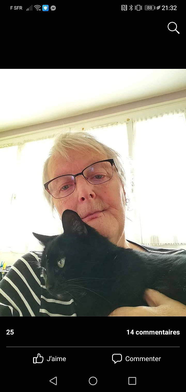 Fifi a rejoint le concours — aidez-le/la à gagner de superbes lots ! beard, carnivore, cat, comfort, eyewear, felidae, formal_wear, fur, gesture, glasses, happy, moustache, selfie, sitting, small_to_medium_sized_cats, snout, tints_and_shades, vision_care, whiskers, window