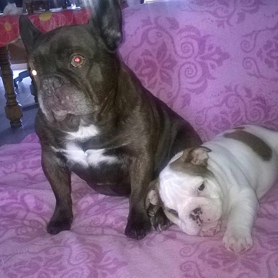 Maguy Et Baby