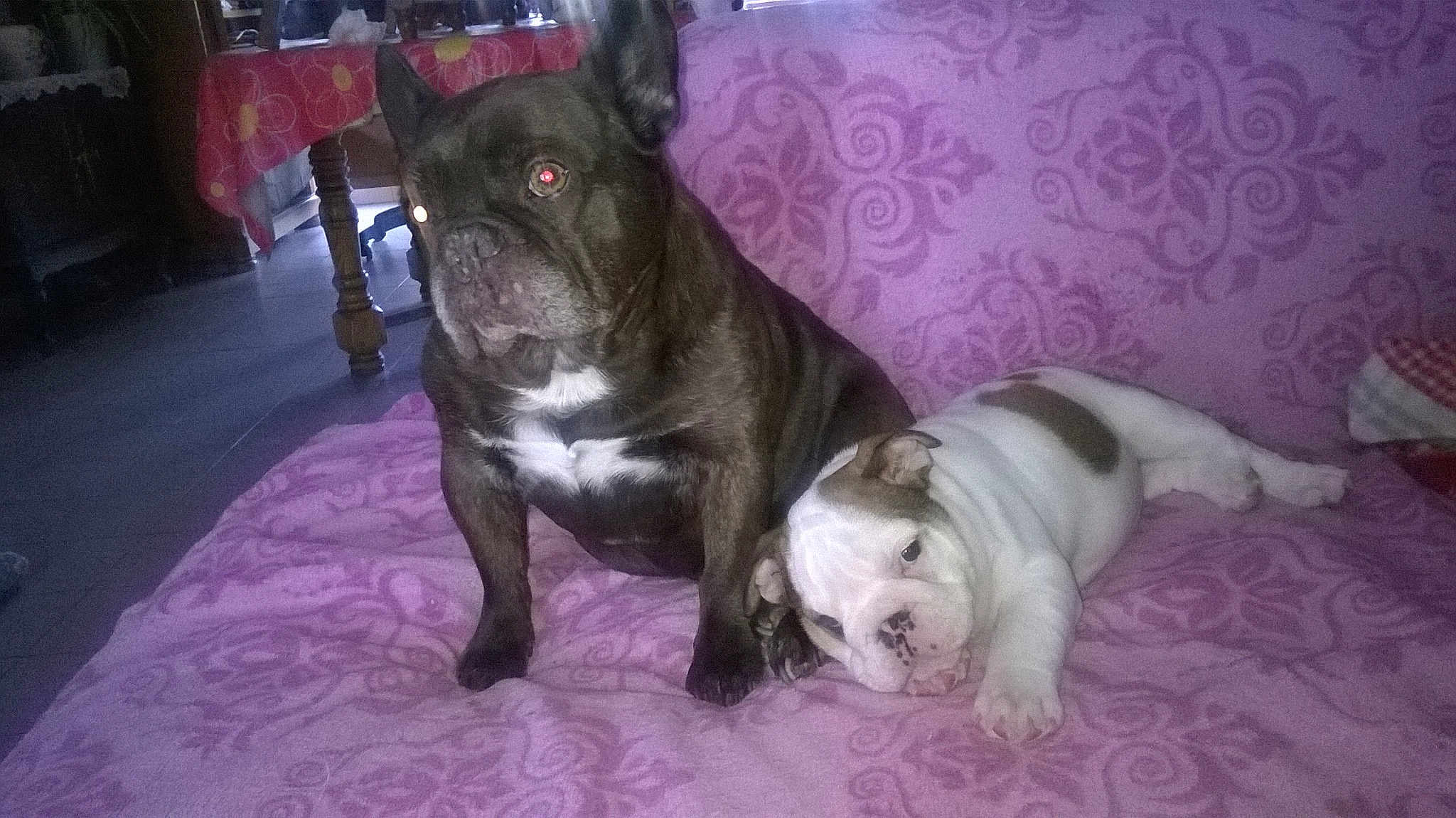 Maguy Et Baby