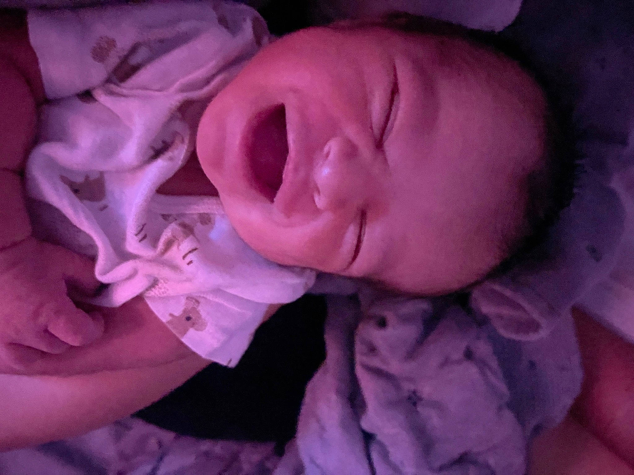 Juan is registered to the contest to win money with this photo: arm, baby, baby_toddler_clothing, comfort, ear, eye, eyebrow, eyelash, happy, human_body, iris, lip, magenta, person, petal, pink, plant, purple, smile, toddler