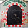 Willow participe au concours pour gagner de l'argent avec cette photo : cat, black_cat, cardboard_house, holiday, candy_cane, mailbox, pet, animal, indoor, cute, festive, decorations, window, peeking, christmas, playful, feline, box, yellow_eyes, house