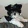 Gidget