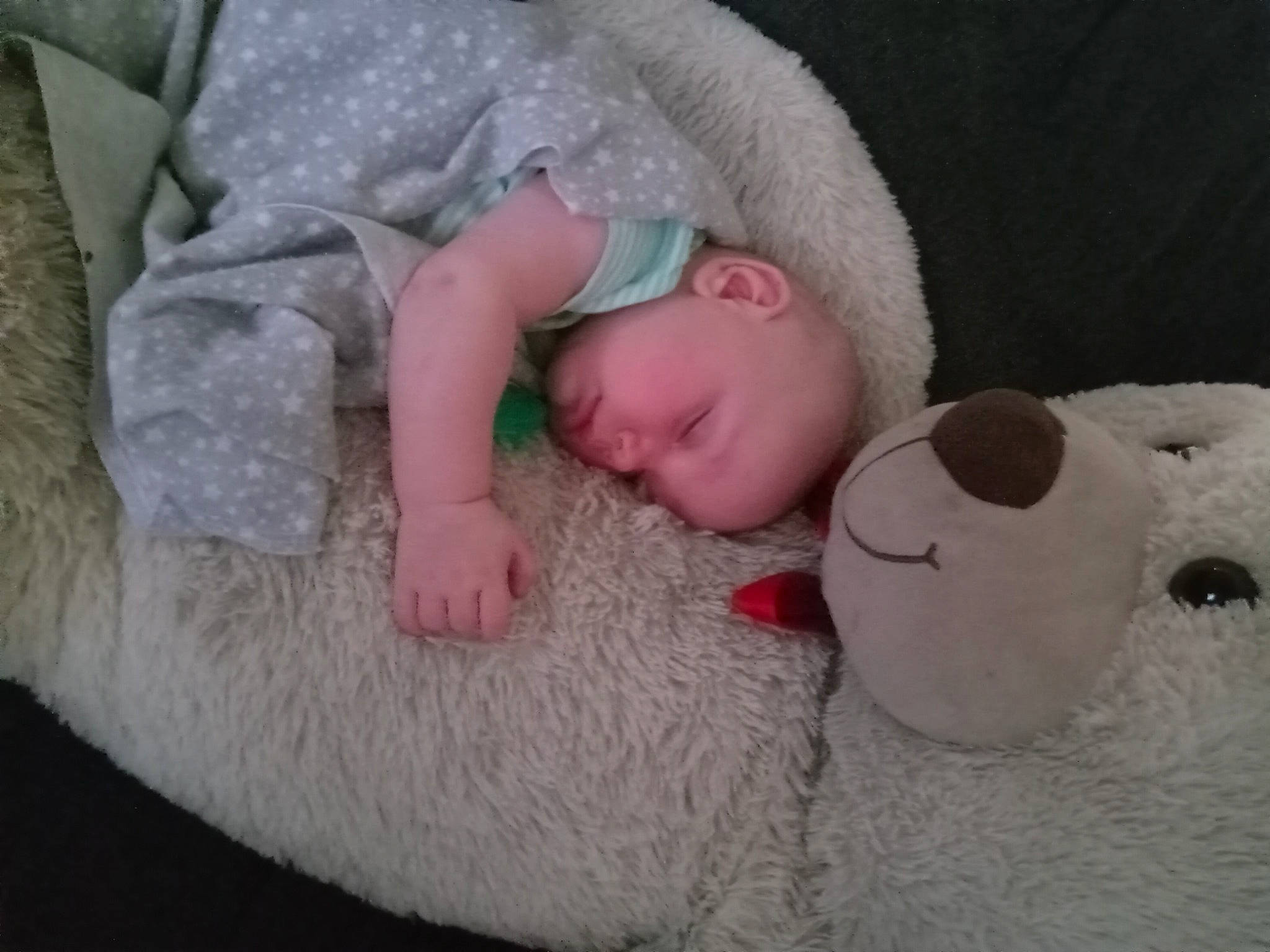 Kennidi is registered to the contest to win money with this photo: baby, baby_sleeping, baby_toddler_clothing, cheek, child, comfort, finger, fur, hand, head, headgear, linens, mammal, mouth, nose, person, skin, sleeve, textile, toddler