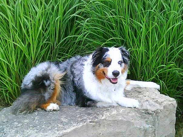 Charlie is registered to the contest to win money with this photo: