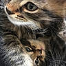 Meowzers is registered to the contest to win money with this photo: cat, kitten, tabby, closeup, fur, whiskers, eyes, snuggling, cute, pet, animal, mammal, portrait, feline, young, soft, cozy, indoor, companionship, playful