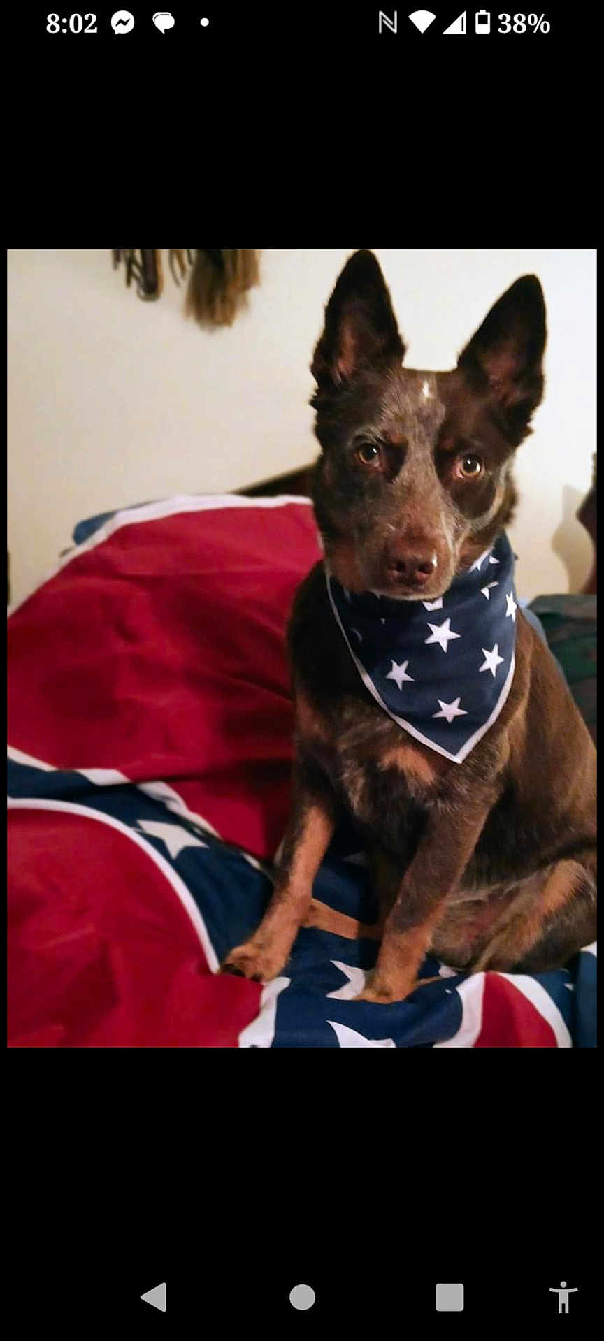 Ellie Mae