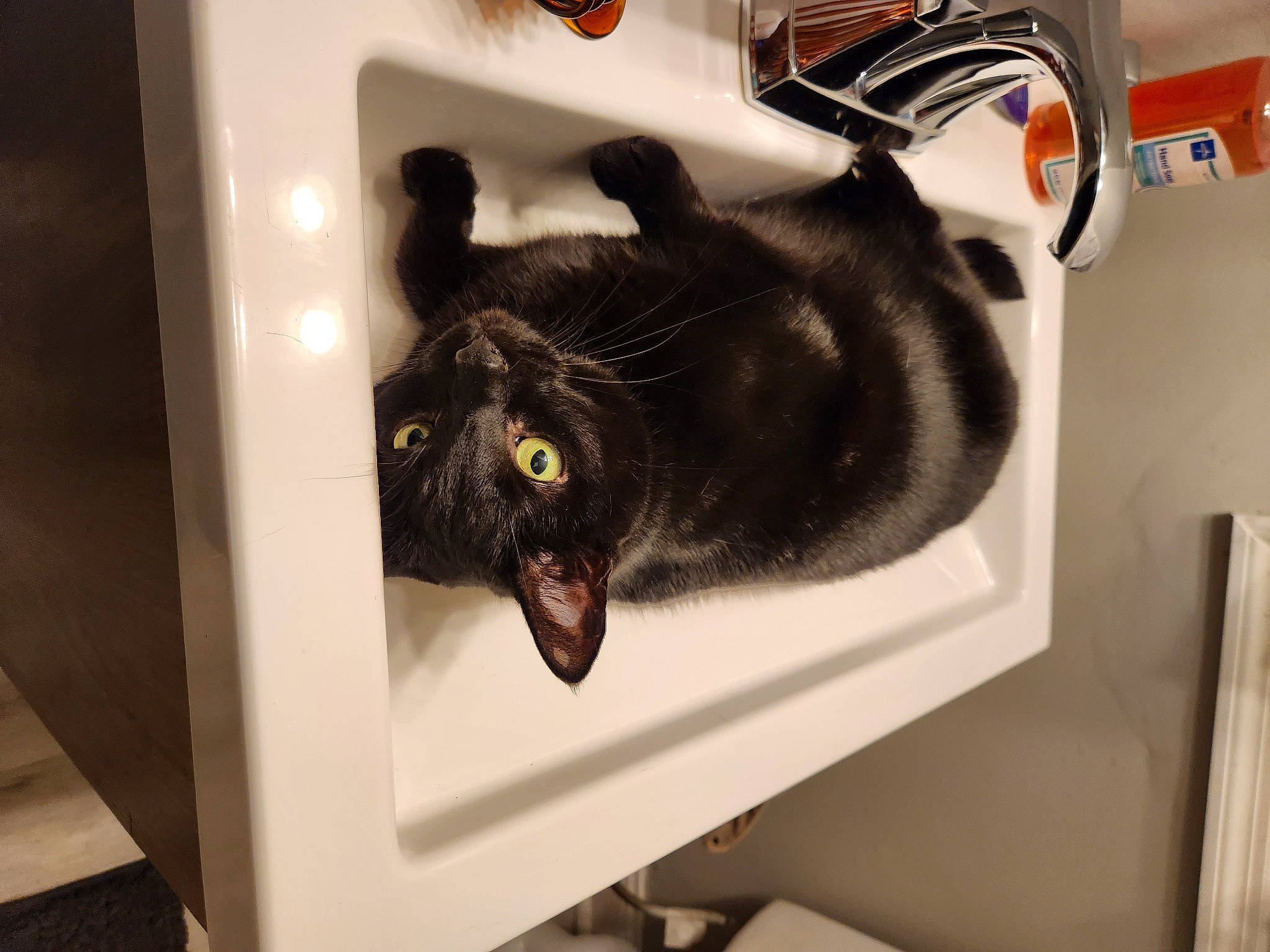 Binx joined the competition — help win amazing prizes! black_cat, bombay, carnivore, cat, comfort, domestic_short_haired_cat, felidae, fur, major_appliance, pet_supply, room, small_to_medium_sized_cats, tail, whiskers