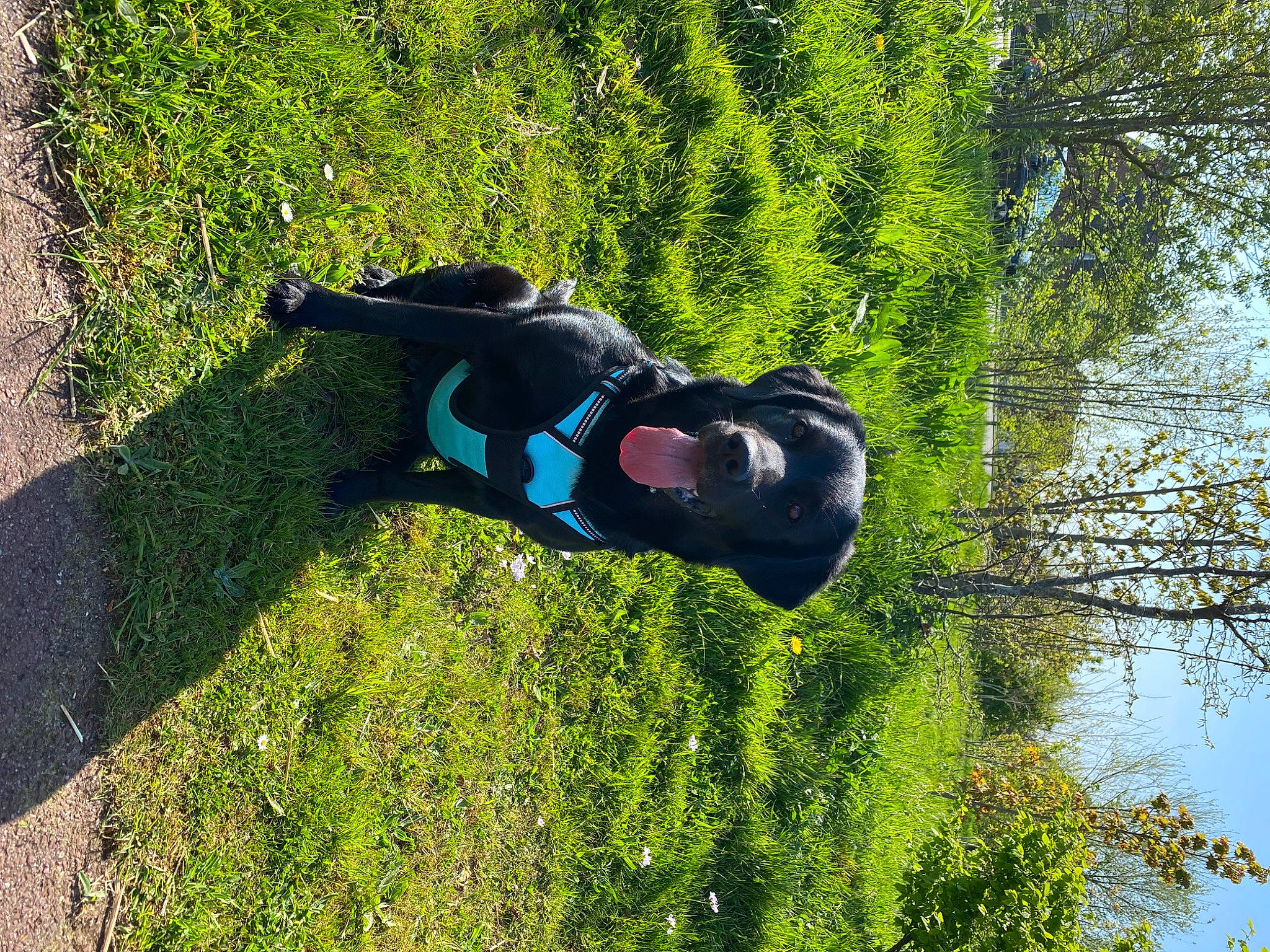 Oly a rejoint le concours — aidez-le/la à gagner de superbes lots ! adventure, forest, fun, grass, grass_family, grassland, groundcover, jungle, landscape, leisure, natural_landscape, people_in_nature, plant, recreation, reflection, shrub, sky, tree, water, woody_plant