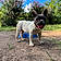 Dottie