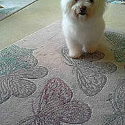 Nikita participe au concours pour gagner de l'argent avec cette photo :