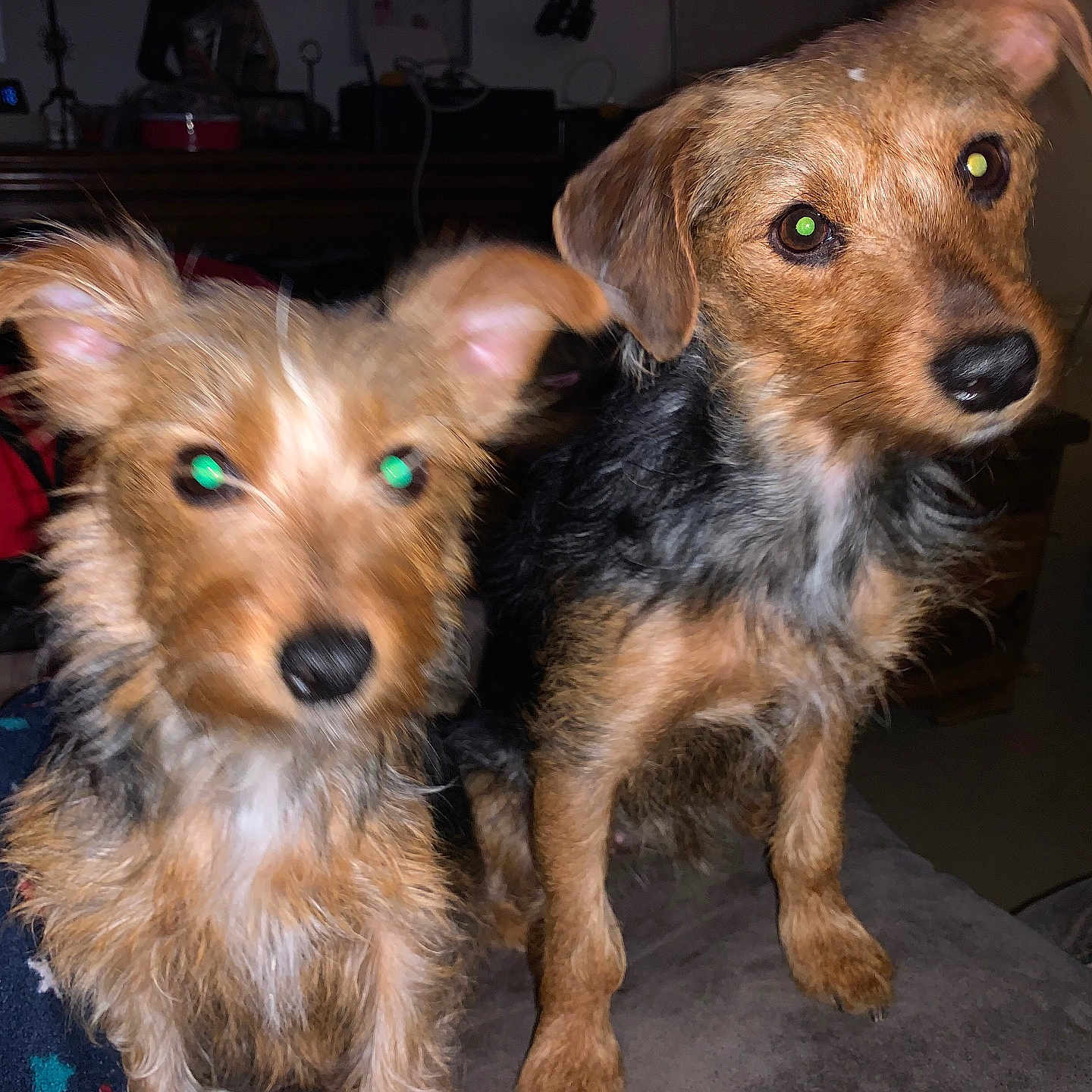 Chanel Et Athena