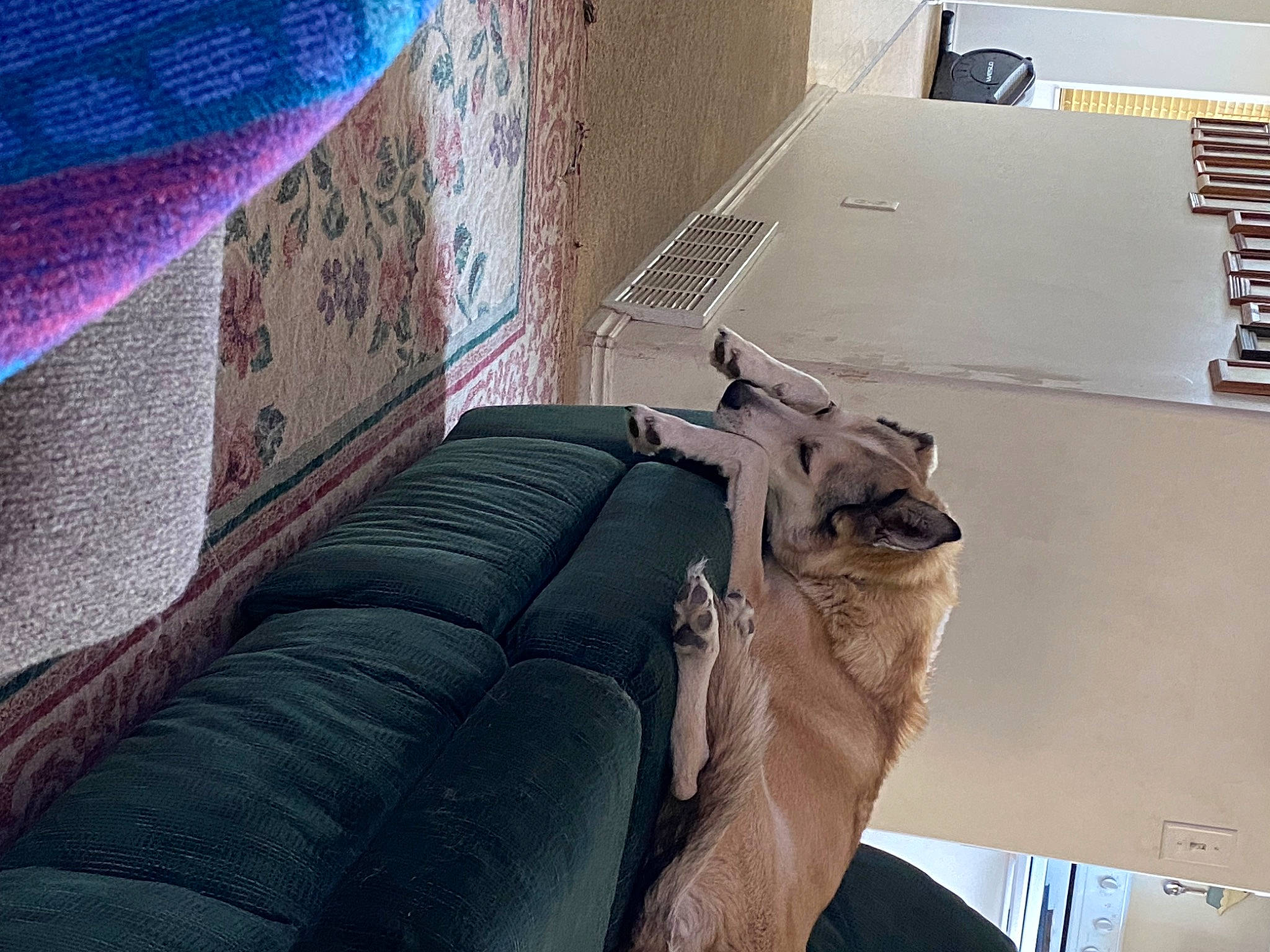 Sable joined the competition — help win amazing prizes! auto_part, automotive_design, chair, comfort, couch, eyewear, flooring, font, human_leg, magenta, metal, room, sitting, thigh, tints_and_shades, vehicle_door, visual_arts, wood