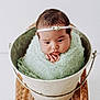 baby, infant, bucket, blanket, headband, wicker, stool, wrapped, cute, portrait, soft_texture, white_background, hands, face, newborn, resting, indoors, decorative, peaceful, adorable