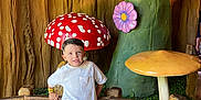 Tiago participe au concours pour gagner de l'argent avec cette photo : child, boy, white_shirt, gray_shorts, sneakers, mushrooms, purple_flowers, tree, wooden_fence, greenery, indoor, decorative, playful, casual_pose, smiling, background, fantasy, colorful, young, portrait