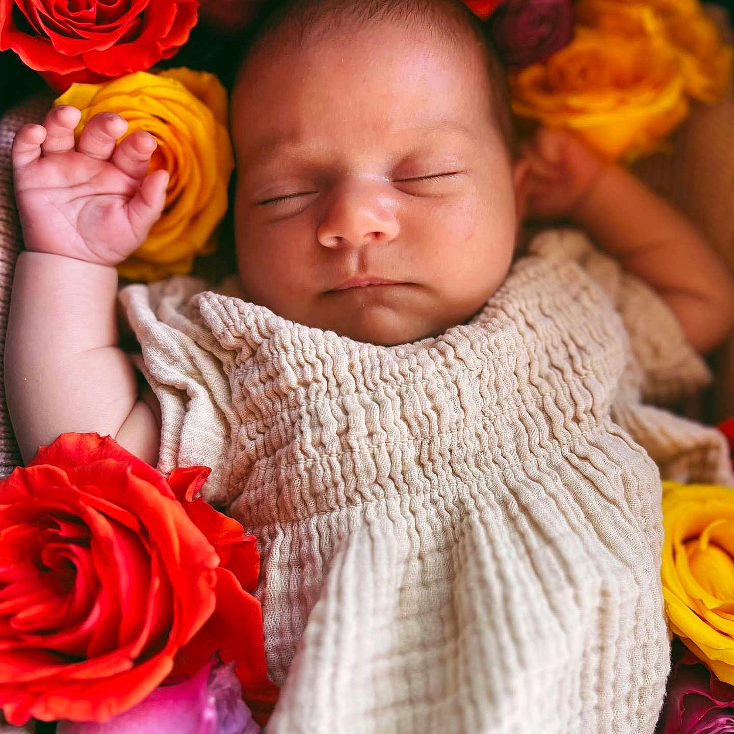 Josephine joined the competition — help win amazing prizes! baby, blanket, face, flower, flowerarrangement, flowerbouquet, head, newborn, person, petal, photography, plant, portrait, rose, sleeping, yawning