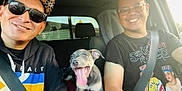 Mana joined the competition — help win amazing prizes! man, smiling, sunglasses, hat, puppy, dog, car_interior, seatbelt, tshirt, window, daylight, happy, tongue_out, driving, casual_clothing, glasses, friendship, road_trip, red_blanket, portrait