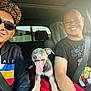 man, smiling, sunglasses, hat, puppy, dog, car_interior, seatbelt, tshirt, window, daylight, happy, tongue_out, driving, casual_clothing, glasses, friendship, road_trip, red_blanket, portrait