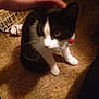 Abby is registered to the contest to win money with this photo: