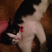 Abby is registered to the contest to win money with this photo: