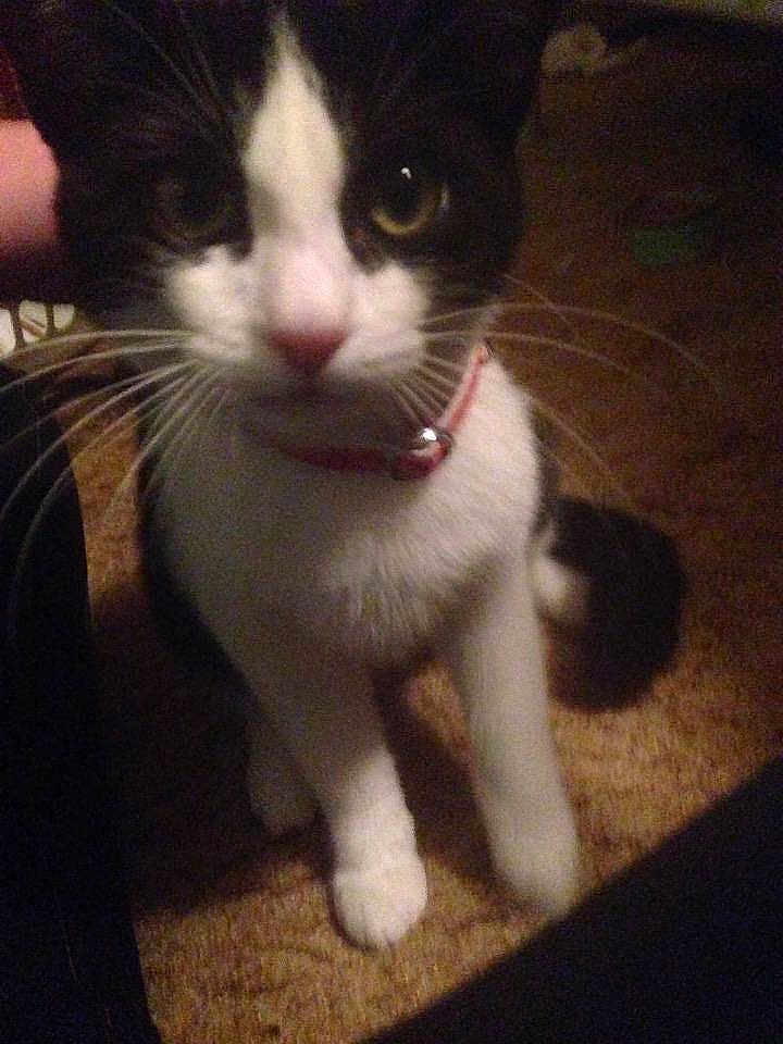 Abby